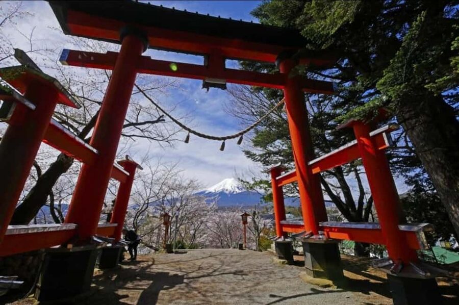 From Tokyo: Full-Day Mount Fuji Tour in English or Spanish - Meeting in Shinjuku and setting off