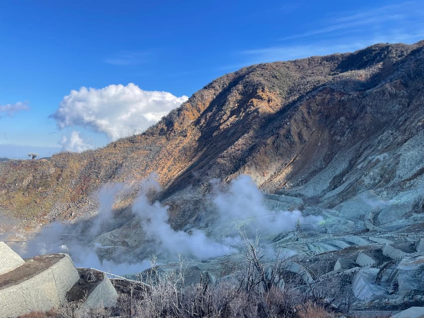 From Tokyo: Hakone Full Day Customizable Private Tour - Lake Ashi cruise and the ropeway choice