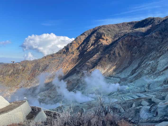 From Tokyo: Hakone Full Day Customizable Private Tour - Leaving Tokyo early for Hakone