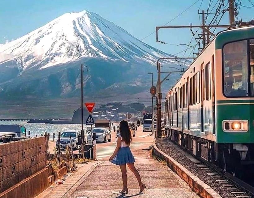 From Tokyo: Kamakura and Enoshima Full-Day Private Trip - Who should book this private day trip