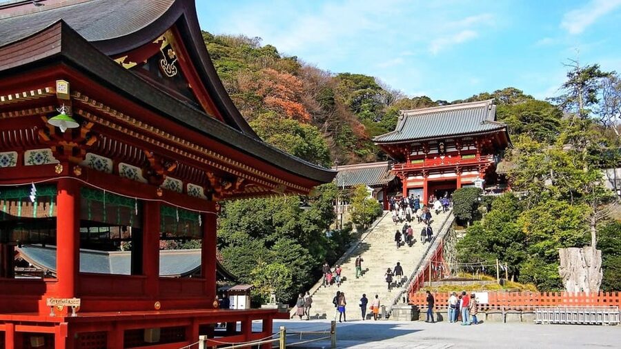 From Tokyo: Kamakura Full Day Tour with a Local Expert Guide - Key points to know before booking