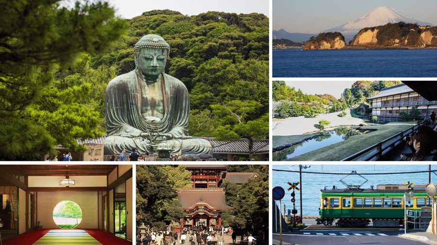 From Tokyo: Kamakura Full Day Tour with a Local Expert Guide - The Great Buddha is the day’s big moment