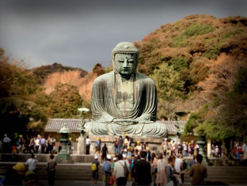 From Tokyo: Kamakura Private Customize Tour by Luxury Van - Meeting the Great Buddha at Kotoku-in