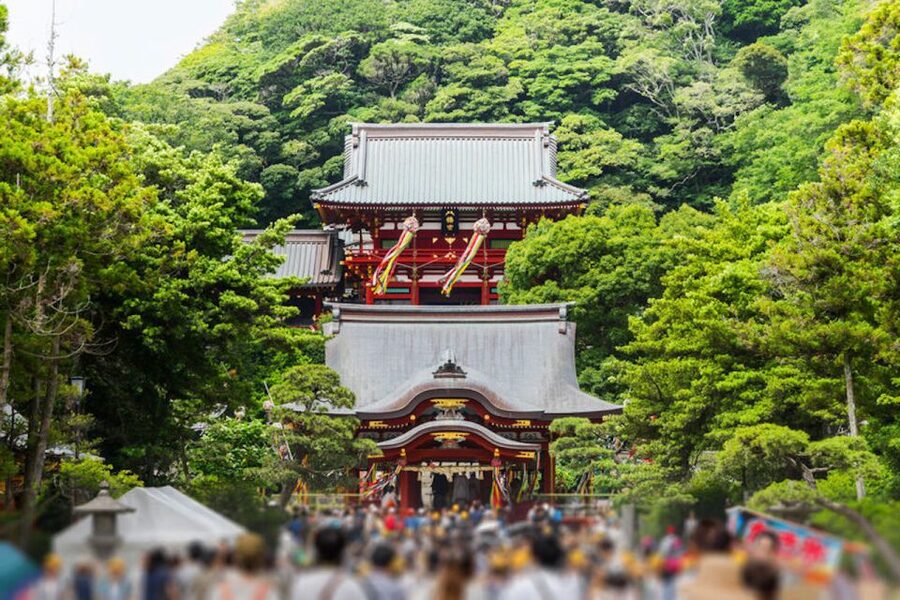 From Tokyo: Kamakura Private Customize Tour by Luxury Van - Who should book this Kamakura tour