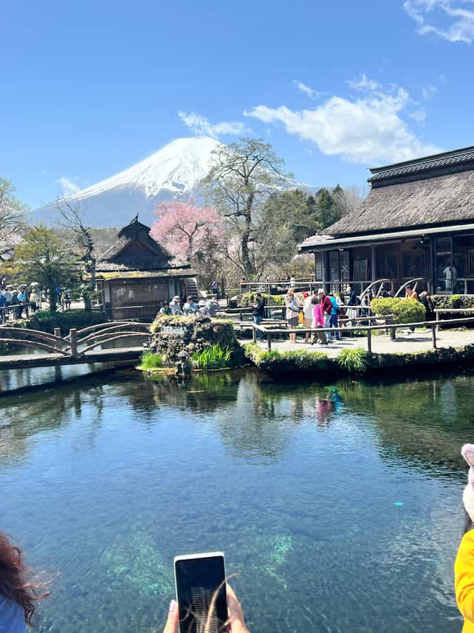 From Tokyo: Mount Fuji and Hakone Private Day Trip - The Hakone Open Air Museum
