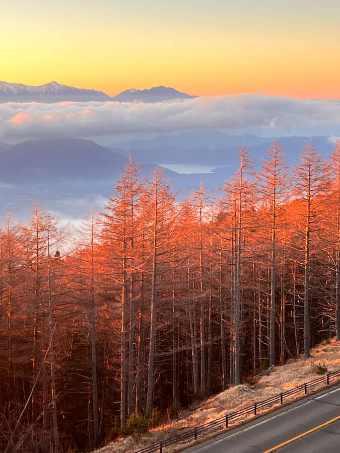 From Tokyo: Mount Fuji and Hakone Private Day Trip - What this private Fuji and Hakone day is really like
