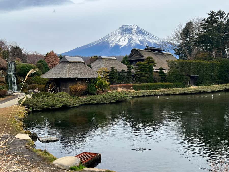 From Tokyo: Mount Fuji and Hakone Private Day Trip - Fuji 5th Station at 2,300 meters