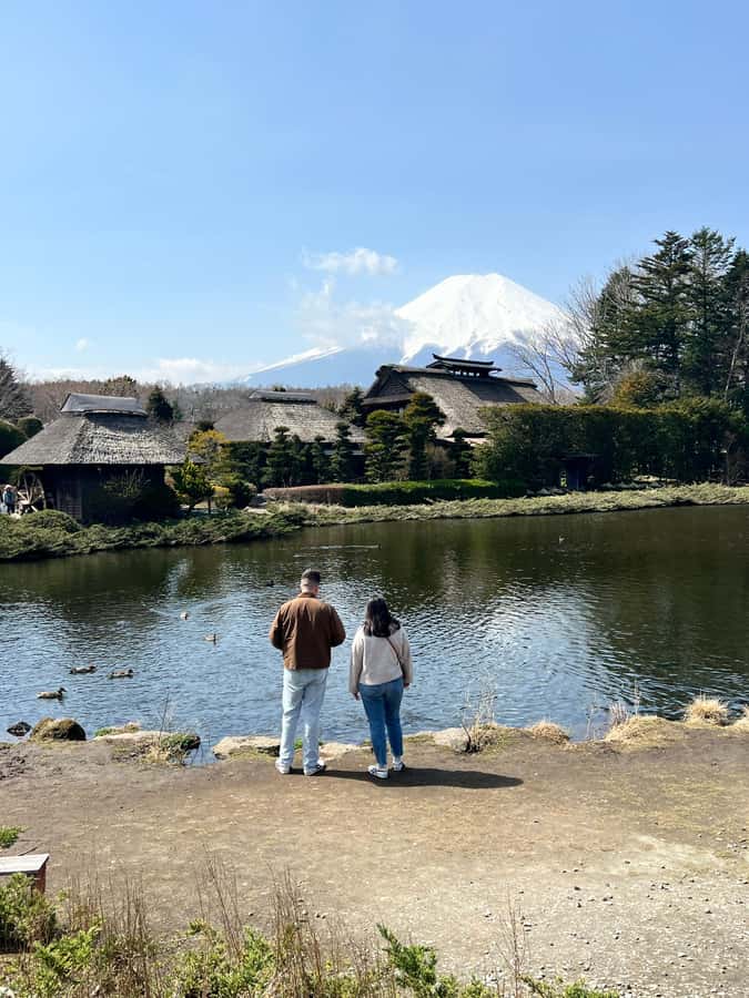 From Tokyo: Mount Fuji and Hakone Private Day Trip - Chureito Pagoda and the classic Fuji photograph