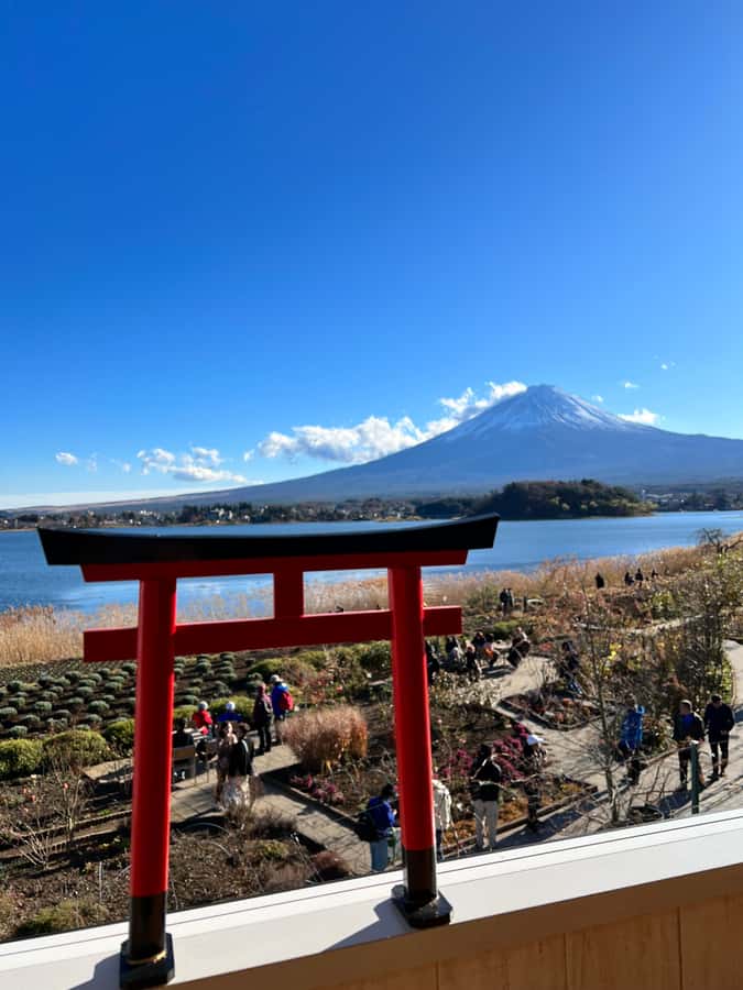 From Tokyo: Mount Fuji and Hakone Private Day Trip - Sengen shrines and an old cedar avenue