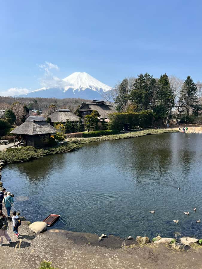 From Tokyo: Mount Fuji and Hakone Private Day Trip - Lake Ashi and the optional pirate cruise