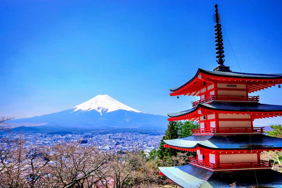 From Tokyo: Mount Fuji and Hakone Private Day Trip - Starting with the right view of Mount Fuji