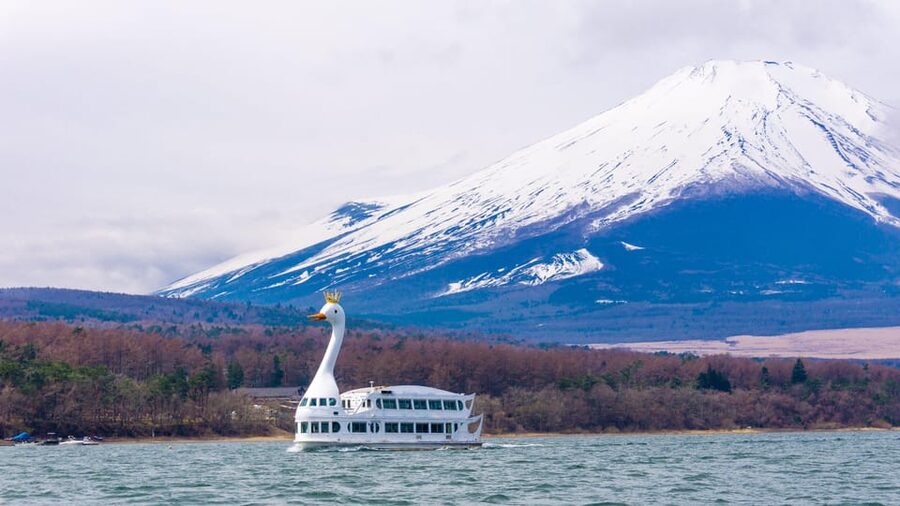 From Tokyo: Mount Fuji, Cruise and Sake Tour - Key points at a glance