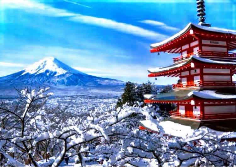 From Tokyo: Mount Fuji Full Customized Tour English Guide - A private route from Tokyo to Mount Fuji