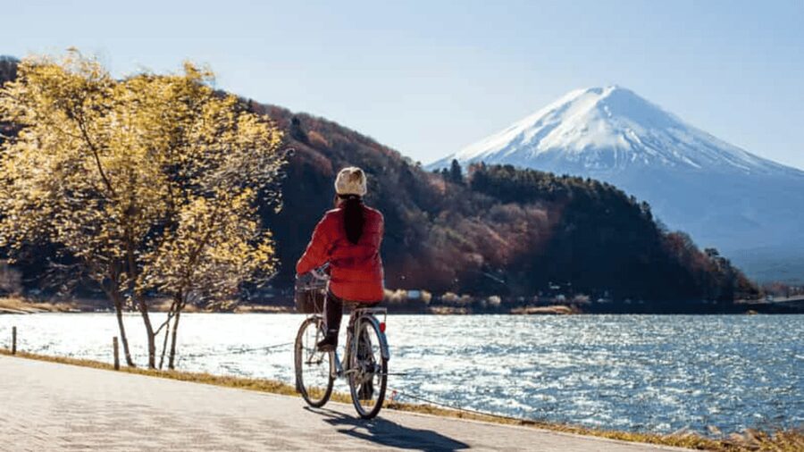 From Tokyo: Mount Fuji Full Customized Tour English Guide - Oshino Hakkai and the old village setting