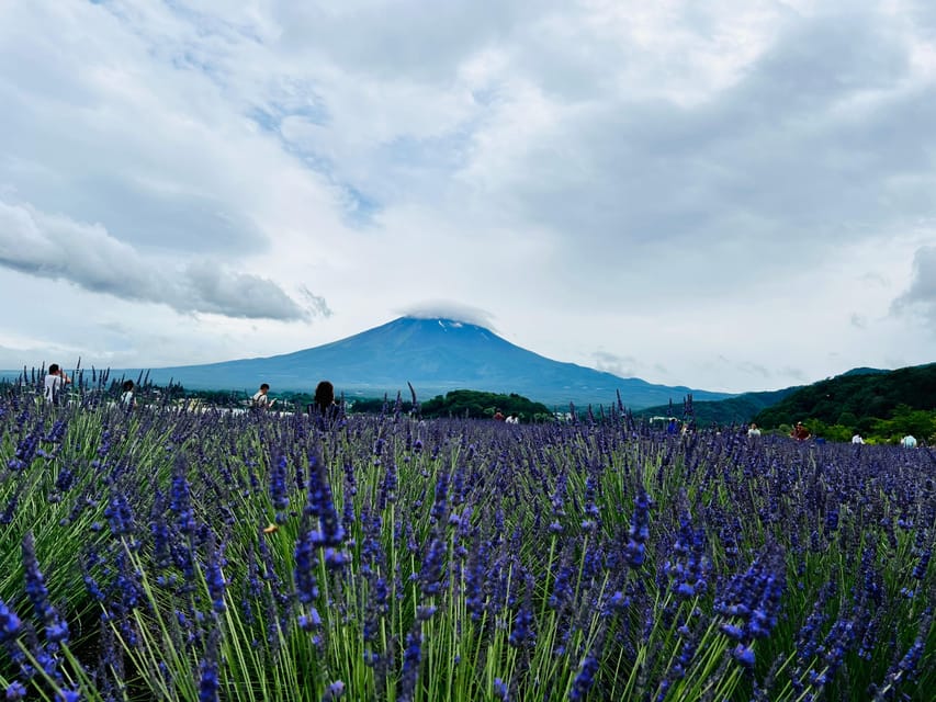 From Tokyo: Mount Fuji Full-Day Customizable Private Tour - Key points to know before booking