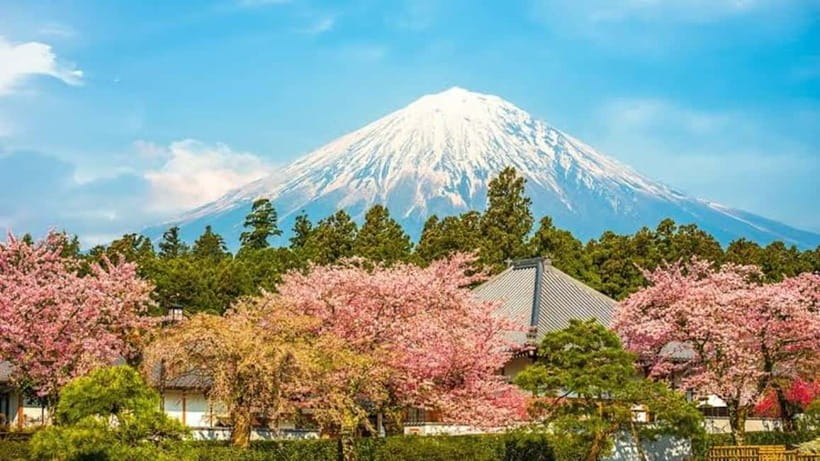 From Tokyo: Mount Fuji Full-Day Customizable Private Tour - Arakurayama Sengen Park and the classic Fuji photograph
