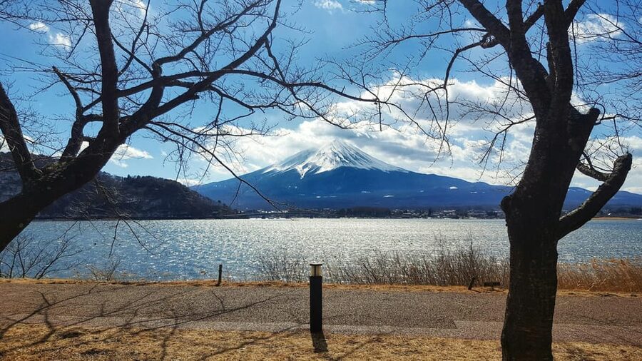 From Tokyo: Mount Fuji Full-Day Customizable Private Tour - Kitaguchi Hongu Fuji Sengen Shrine