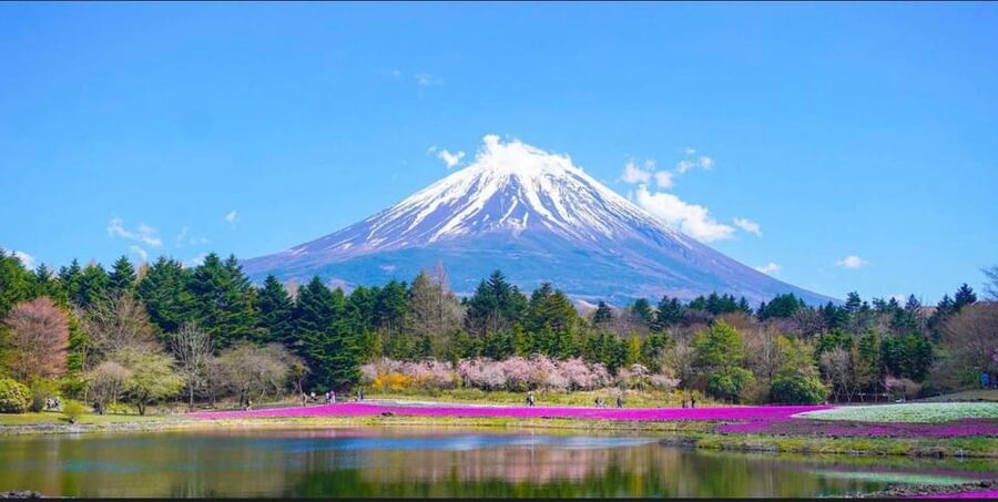 From Tokyo: Mount Fuji Full-Day Customizable Private Tour - Mount Fuji 5th Station: great when open, limited when weather closes in