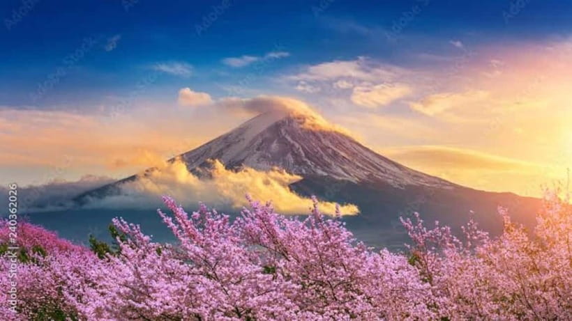 From Tokyo: Mount Fuji Full-Day Customizable Private Tour - Picking the right route: Fuji views or Hakone attractions
