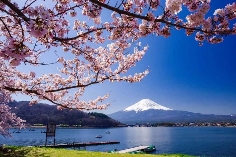 From Tokyo: Mount Fuji Full Day Private Customizable Tour - Key points at a glance