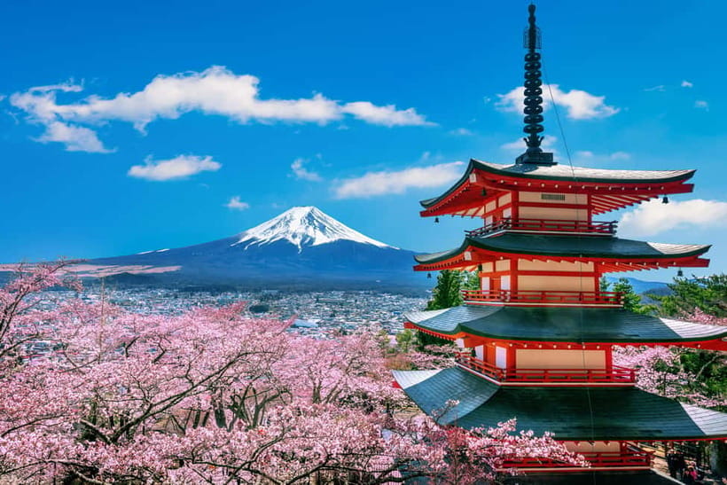 From Tokyo: Mount Fuji Full Day Private Customizable Tour - Why a private Mount Fuji day trip works well