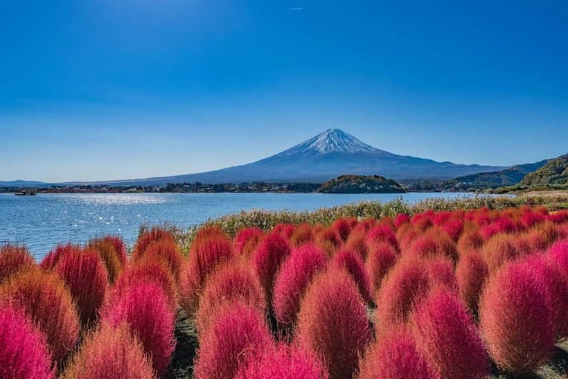 From Tokyo: Mount Fuji Full Day Private Customizable Tour - Chureito Pagoda and Arakurayama Sengen Park