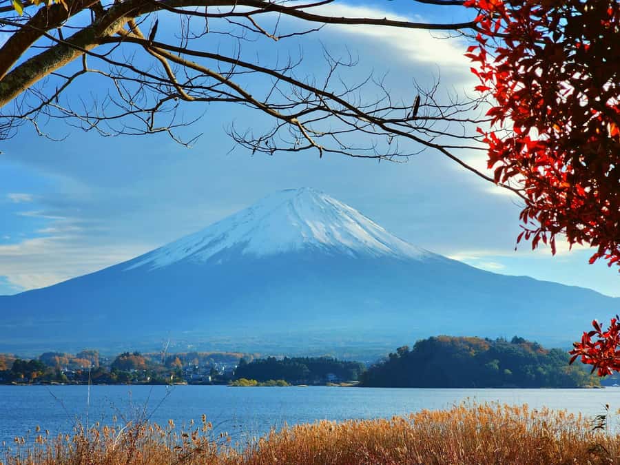 From Tokyo: Mount Fuji Full-Day Private Tour (Customizable) - Weather is the central risk