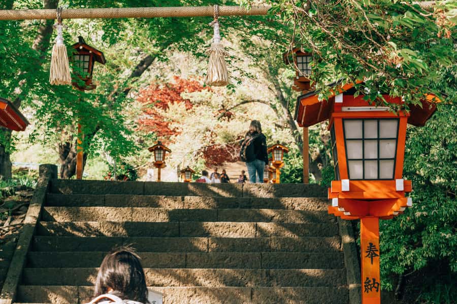 From Tokyo: Mount Fuji Full-Day Private Tour (Customizable) - Oshino Hakkai brings the countryside into the day