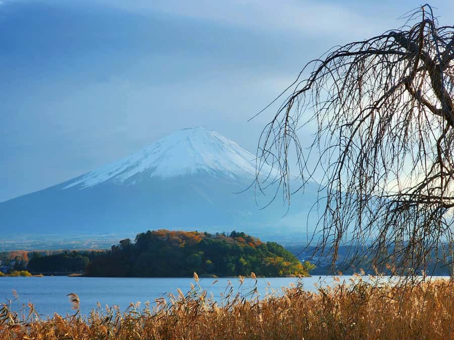 From Tokyo: Mount Fuji Full-Day Private Tour (Customizable) - A flexible day, not a fixed checklist