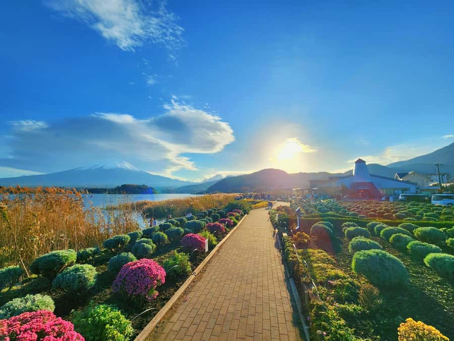 From Tokyo: Mount Fuji Full-Day Private Tour (Customizable) - The drivers make or break the experience