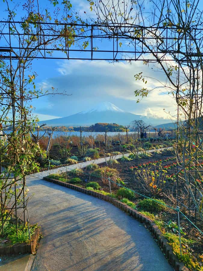 From Tokyo: Mount Fuji Full-Day Private Tour (Customizable) - Comfort, group size, and the practical details
