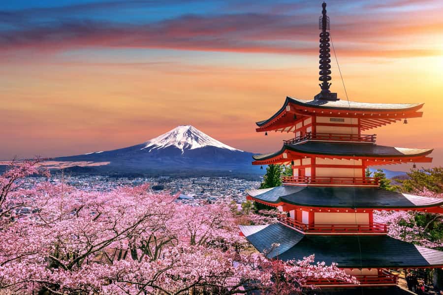 From Tokyo: Mount Fuji Full-Day Private Tour (Customizable) - Lake Kawaguchiko gives you the classic Fuji view