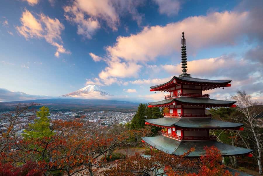 From Tokyo: Mount Fuji Full Day Private Tour English Guide - Key points to know before booking