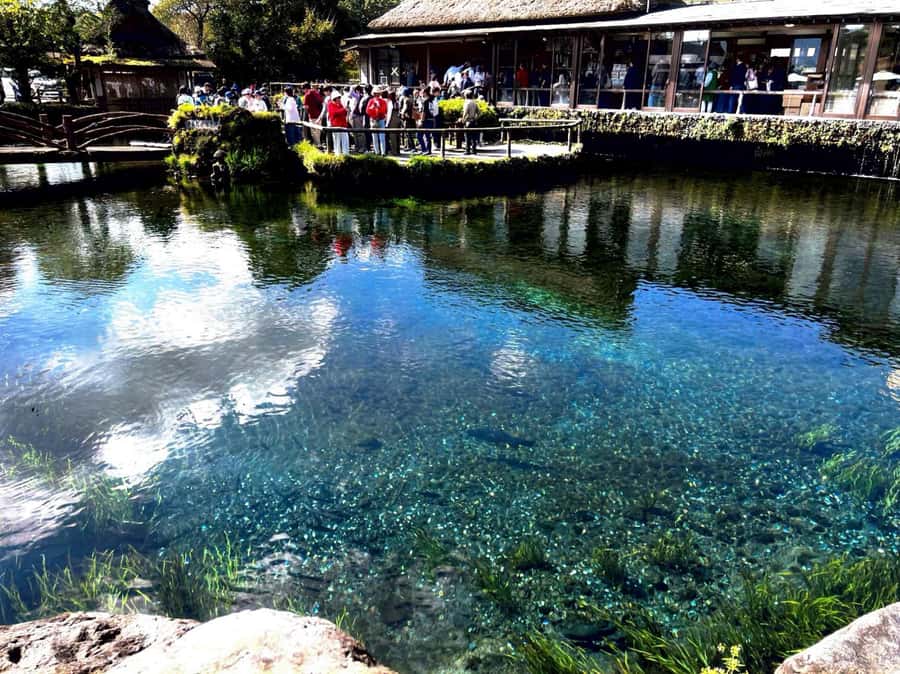 From Tokyo: Mount Fuji Full Day Private Tour English Guide - Lake Kawaguchi and Oishi Park