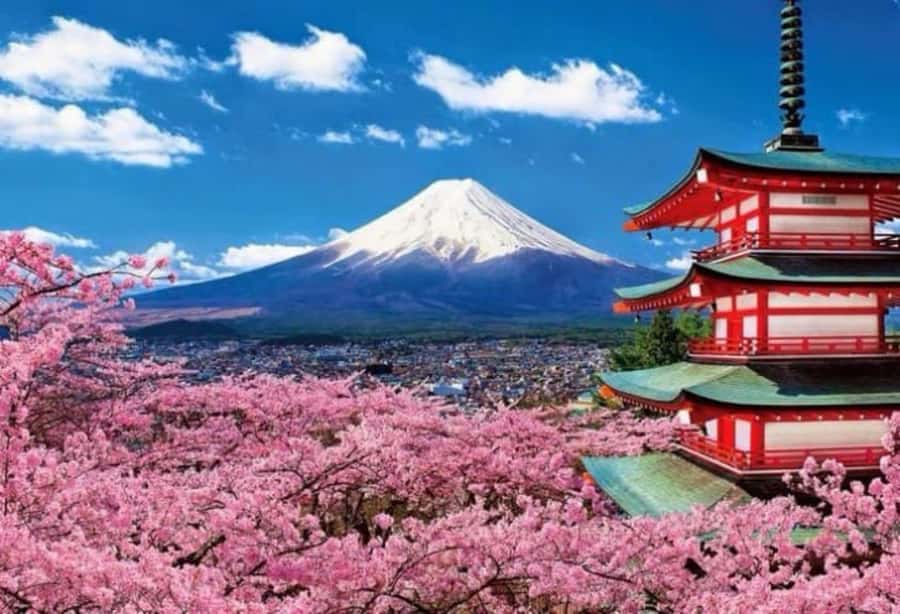 From Tokyo: Mount Fuji Full Day Private Tour English Guide - Kita-Guchi Shrine and a quieter side of Fuji