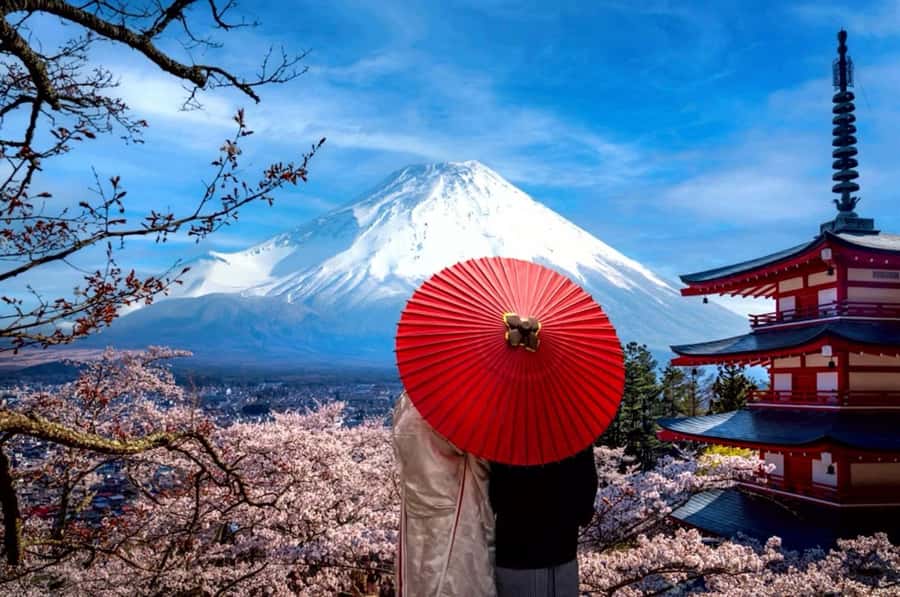 From Tokyo: Mount Fuji Full Day Private Tour English Guide - What the driver-guide adds