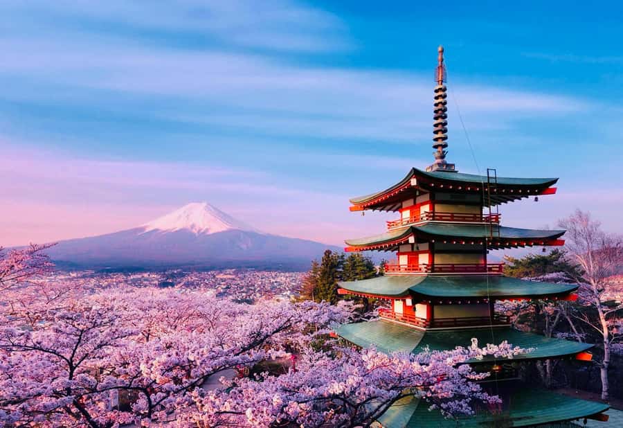 From Tokyo: Mount Fuji Full Day Private Tour English Guide - Price, inclusions, and the real value
