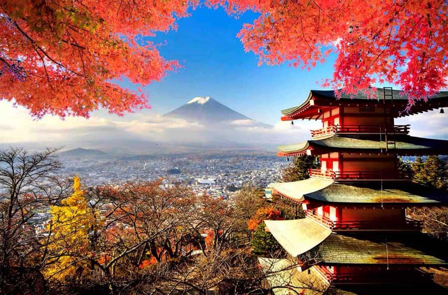 From Tokyo: Mount Fuji Full Day Private Tour English Guide - Chureito Pagoda and the famous Fuji photograph
