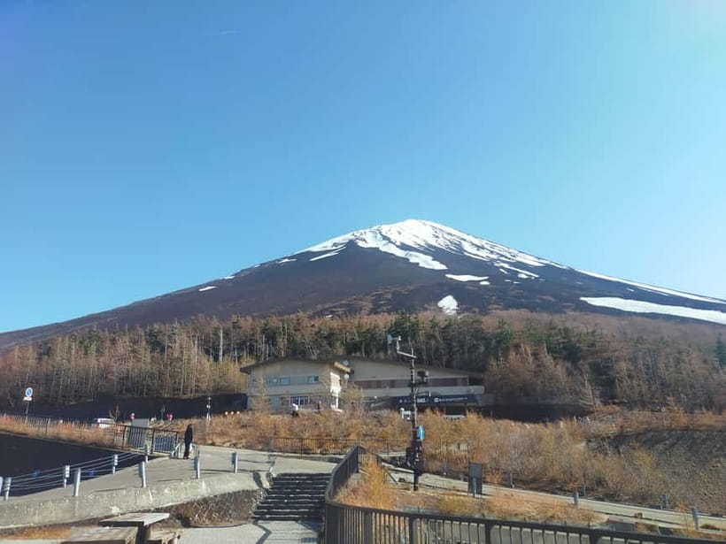 From Tokyo: Mount Fuji Full-Day Sightseeing Trip - The 5th Station, or a lower mountain stop