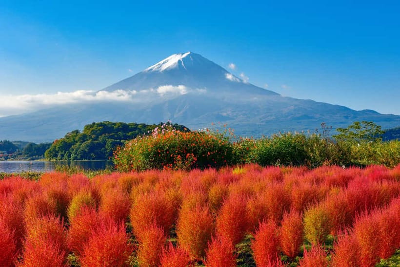 From Tokyo: Mount Fuji Full-Day Sightseeing Trip - Oishi Park and the first Lake Kawaguchiko view