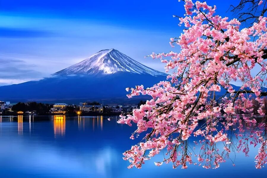From Tokyo: Mount Fuji & Hakone Full Day Private Tour - Key points to know before booking