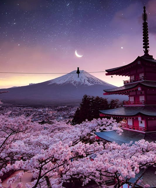 From Tokyo: Mount Fuji & Hakone Full Day Private Tour - Narusawa Ice Cave and the volcanic side of Fuji