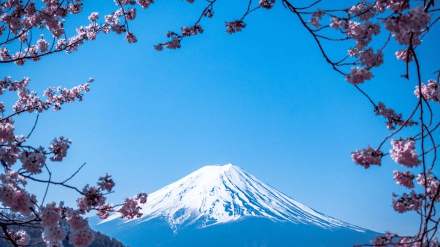 From Tokyo: Mount Fuji Private Day Tour With English Guide - Mount Fuji 5th Station: the high starting point