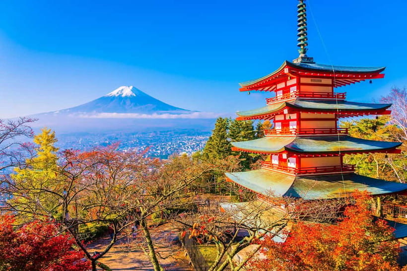 From Tokyo: Mount Fuji Private Tour With English Guide - What the driver adds to the day