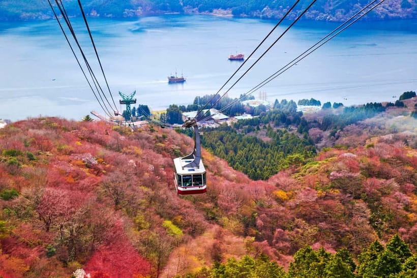 From Tokyo: Mount Fuji Private Tour With English Guide - Food, comfort, and what to bring