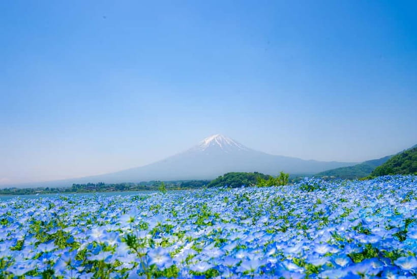 From Tokyo: Mt Fuji, Arakurayama and Kawaguchi Lake Day Trip - LAWSON Lake Kawaguchi and the famous convenience-store photo