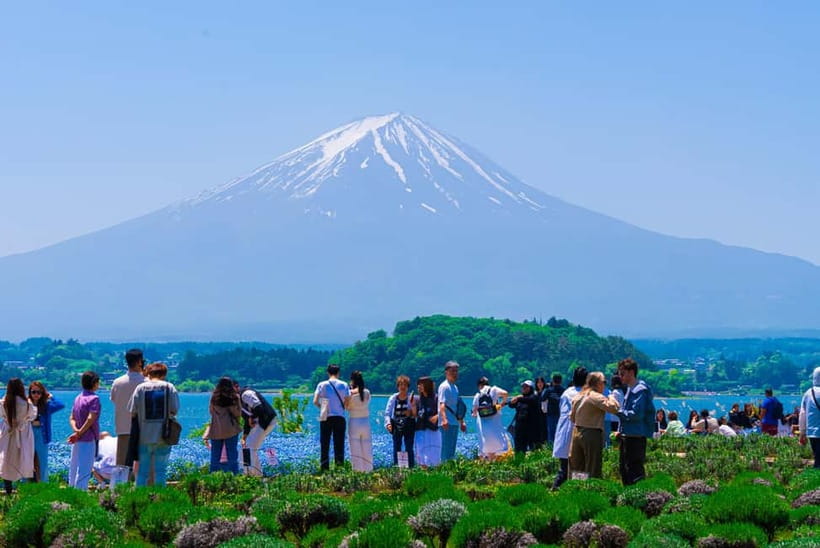 From Tokyo: Mt Fuji, Arakurayama and Kawaguchi Lake Day Trip - Lake Kawaguchi, Oishi Park, and the Maple Corridor