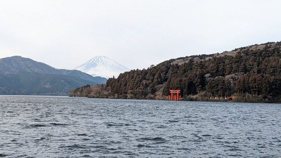From Tokyo: Mt. Fuji & Hakone Tour w/ Return by Bullet Train - Wheelchair access and family details