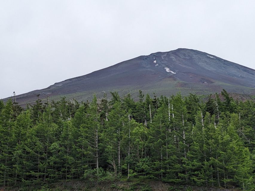 From Tokyo: Mt. Fuji & Hakone Tour w/ Return by Bullet Train - Guides, transport, and the rhythm of the day
