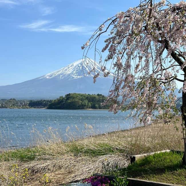 From Tokyo: Mt Fuji Private Day Tour In Luxury Land Cruiser - A Private Way to Reach Mt. Fuji from Tokyo